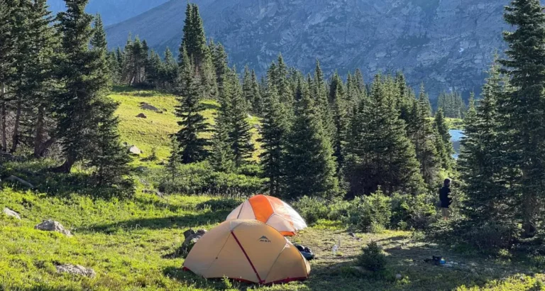 How to Camp for Free in US National Forests