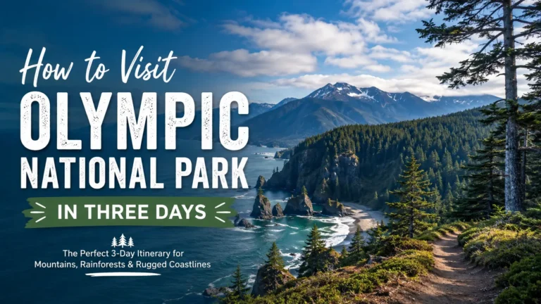 How to Visit Olympic National Park in Three Days