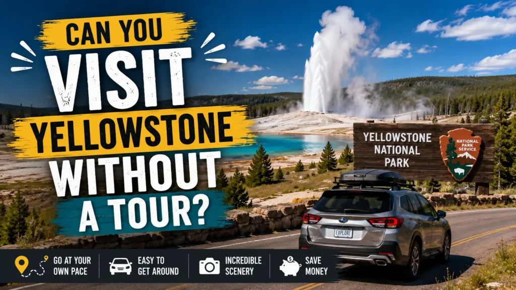 Can You Visit Yellowstone Without a Tour